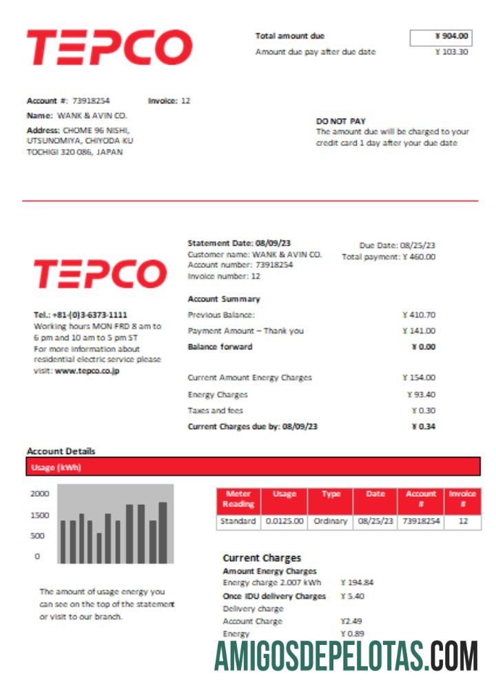 Projeto de lei de serviços públicos de eletricidade da Tokyo Electric Power Company (TEPCO), SCR exemplo